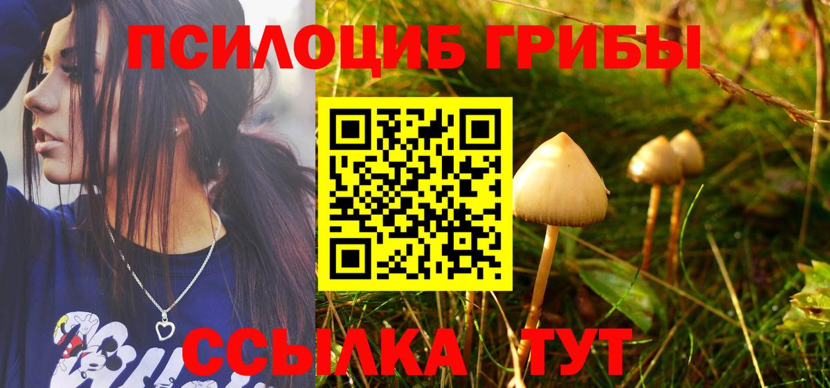 Псилоцибиновые грибы Magic Shrooms Кудрово